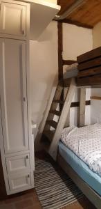 吕贝克Ferienwohnung Kontor im Traufenhaus的一间卧室配有一张双层床和梯子