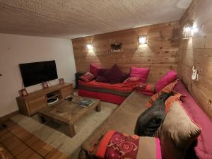 莱孔塔米讷蒙茹瓦Joyeux Flocon - Spacieux chalet的带沙发和电视的客厅