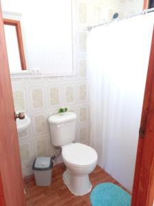 柯纳里佩Alojamiento Ximena的一间带白色卫生间的浴室和窗户。