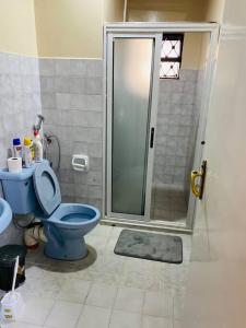 内罗毕Pristine Luxury 2 bedroom Apartment-South C的浴室配有蓝色卫生间和淋浴。