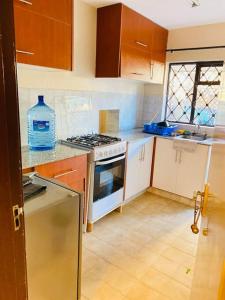 内罗毕Pristine Luxury 2 bedroom Apartment-South C的厨房配有水槽和炉灶 顶部烤箱