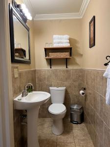 弗农山The Mount Vernon Inn的一间带卫生间、水槽和镜子的浴室