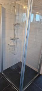 盖锡尔Berghof的浴室里设有玻璃门淋浴