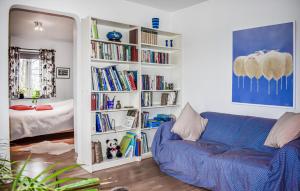 KöpingebroPet Friendly Home In Kpingebro With House A Panoramic View的客厅配有蓝色的沙发和书架
