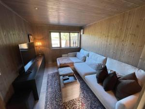 史特林Ny og moderne hytte i Stryn. Solrik plassering的带沙发和电视的客厅