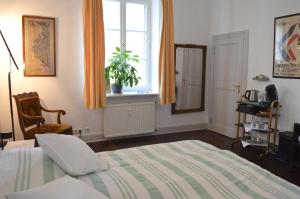 杜塞尔多夫Epic Location的一间卧室配有一张床和一个植物窗户