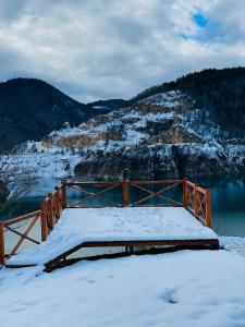 JevtićiZoranovi konaci的水体旁的雪中木桥