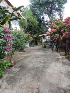孔芬斯Sitio Cantinho da Alegria的院子里种满鲜花和植物的车道