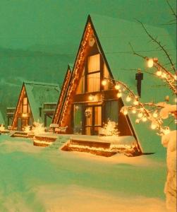 梅斯蒂亚WinterFell Mestia的雪中遮盖着圣诞灯的房子