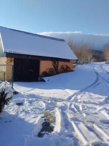 戈斯皮奇Honey house Lika的一座有雪盖的院子,后面有一座建筑