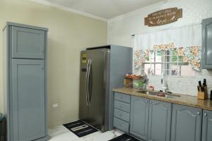 金斯敦Spacious Luxury 3 Bed Rooms in Kingston的厨房配有不锈钢冰箱和窗户
