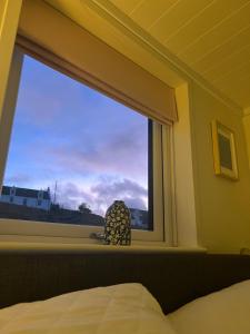 KilmaluagIsland Coorie的卧室窗户享有天空美景