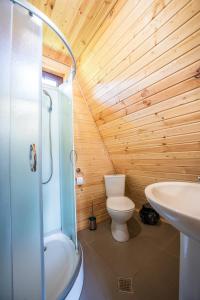 乌树故里MOUNTAIN CABIN的带淋浴、卫生间和盥洗盆的浴室