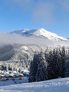 BilsteinHotel Bei Maria的山地的雪覆盖着房屋和树木