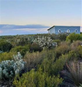 HopefieldFarm Stay: Enjoy Fynbos Views & Wood Fired Hot Tub的植物中间的蓝色房子