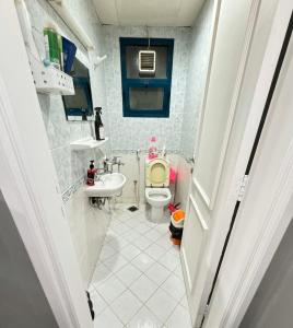 迪拜Golden Horse Hostel的一间带卫生间和水槽的小浴室