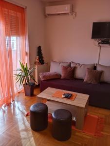 弗尔尼亚奇卡矿泉镇Apartman Radmanovac的客厅配有沙发和桌子