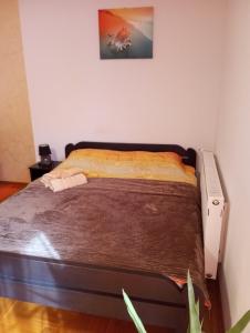 弗尔尼亚奇卡矿泉镇Apartman Radmanovac的卧室内的一张床位,卧室配有防过敏床罩
