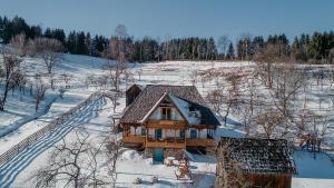 博尔沙La bujda lu mosu的雪中房屋的空中景观