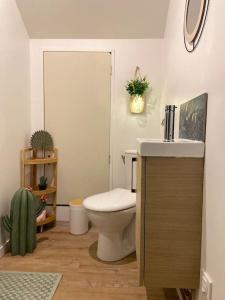 卢维耶Jungle Cosy的一间带卫生间和水槽的浴室