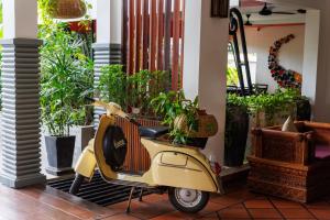 暹粒SAKABAN Suite的停在一个栽有盆栽植物的房间的黄色摩托车