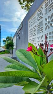 戈亚斯州上帕莱索Pássaros do Cerrado Suítes的一座建筑物前有红花的植物