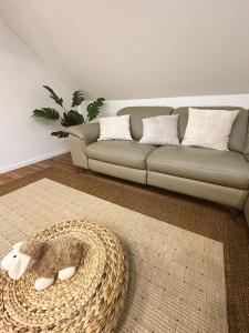 拜罗伊特Ferienwohnung Samy的带沙发和地毯的客厅