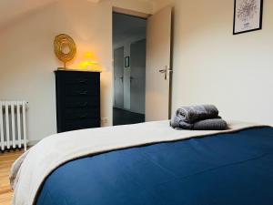 凯恩Le 6 appartement Caen Port & Abbaye-aux-Dames的一间卧室配有一张带蓝色毯子的床和梳妆台