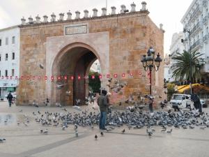 突尼斯Hotel Marhaba - Beb Bhar Tunis的站在一群鸟面前的人