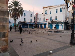 突尼斯Hotel Marhaba - Beb Bhar Tunis的一群鸽子在城市街道上,有建筑物