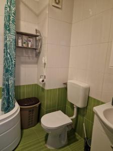 RoşuCosy Spacious Apartment with Parking, Wi-Fi, Smart-TV Netflix的绿色和白色的浴室设有卫生间和水槽