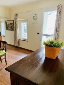 Carbonara ScriviaCountry Apartament - Malpassuti的客厅里摆放着植物的桌子