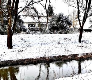 美茵河畔哈瑙GARDEN VIEW near FRANKFURT ----- STAY LIKE AT HOME -----的一片覆盖着树木和池塘的雪地