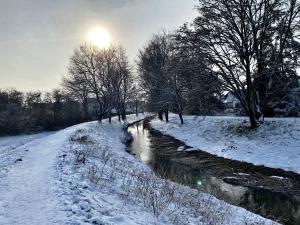 美茵河畔哈瑙GARDEN VIEW near FRANKFURT ----- STAY LIKE AT HOME -----的雪林 ⁇ 的冬季景象