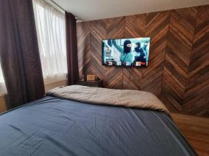 阿姆斯特丹500-Mb Hi-Tech Silent Work-Home的一间卧室配有一张床,墙上配有电视