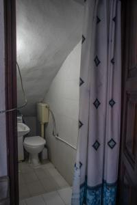 MariaíMaries Thasos Stone Villa的一间带卫生间和淋浴帘的浴室