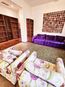 耶路撒冷Golden key的带沙发和紫色沙发的客厅