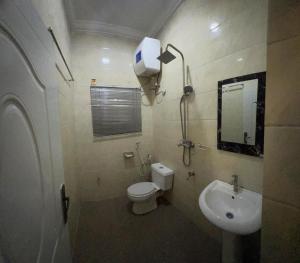 哈科特港Owtee’s Apartments的一间带卫生间、水槽和镜子的浴室