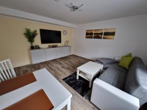 海罗德堡Willi´s Ferienwohnung的带沙发和电视的客厅