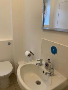 剑桥园景宾馆的白色的浴室设有水槽和卫生间。