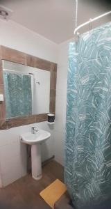 科皮亚波Hostal Tabancura的一间带水槽和玻璃淋浴的浴室