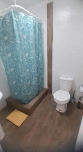 科皮亚波Hostal Tabancura的浴室设有卫生间和绿色淋浴帘。