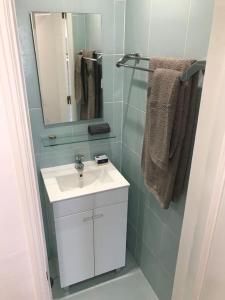 里斯本NEW Monsanto View Charming Apartment @ Campolide - 3B的浴室配有盥洗盆、镜子和毛巾