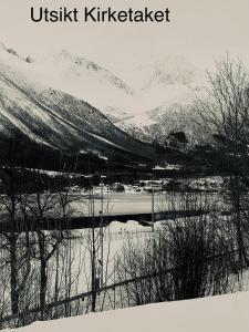 翁达尔斯内斯Villa Haudalan Åndalsnes的白黑的雪覆盖的山照片
