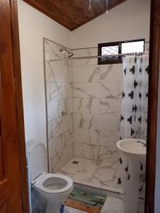 塔马林多Aura Bungalow的带淋浴、卫生间和盥洗盆的浴室