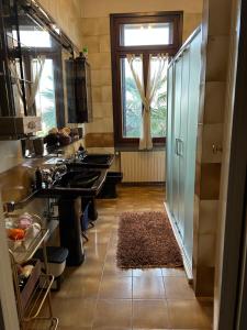 帕多瓦Villa Carla - Camera King Superior的厨房设有水槽和窗户。