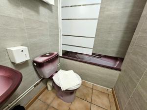 埃塔普勒艾斯卡尔酒店的一间带粉红色卫生间和盥洗盆的浴室