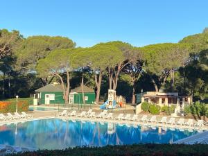 圣拉斐尔Domaine Valescure Appartement 1 ou 2 pieces vue jardin ou piscine的一个带白色椅子的游泳池和游乐场