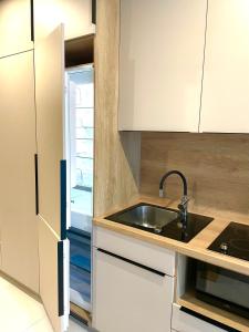 米哈洛夫采Green Side Studio的厨房配有水槽和冰箱