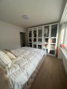 巴塞尔Best located & fully equipped apartment at Basel SBB main station的一间卧室配有一张带白色床单的大床